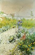 Carl Larsson i kakstradgarden oil on canvas